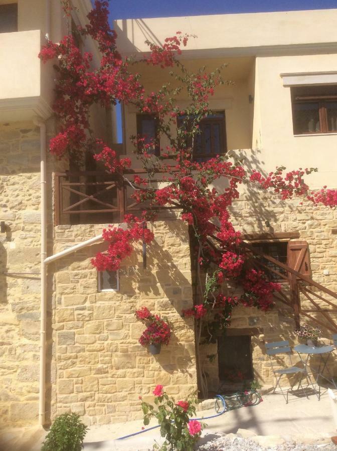 Kritikies Kydonia Villa Pitsidia Exterior photo
