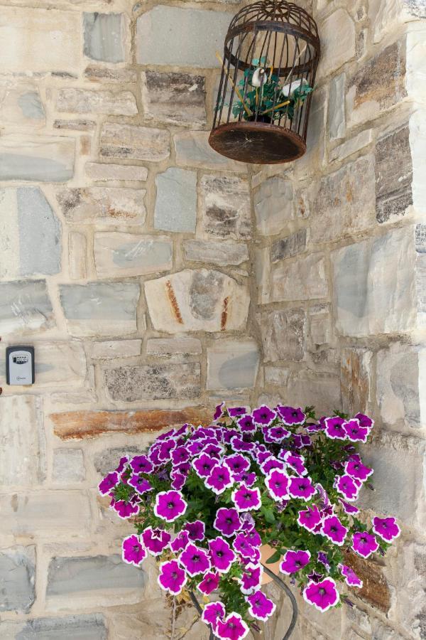 Kritikies Kydonia Villa Pitsidia Exterior photo